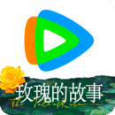 m系镜像小说文字区